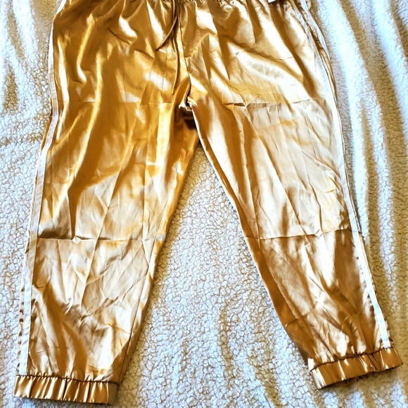 Rue 21 Gold Silk Joggers - Picture 3 of 4